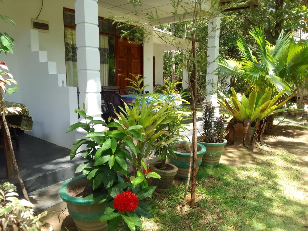 Freedom Home Stay Sigiriya Ngoại thất bức ảnh